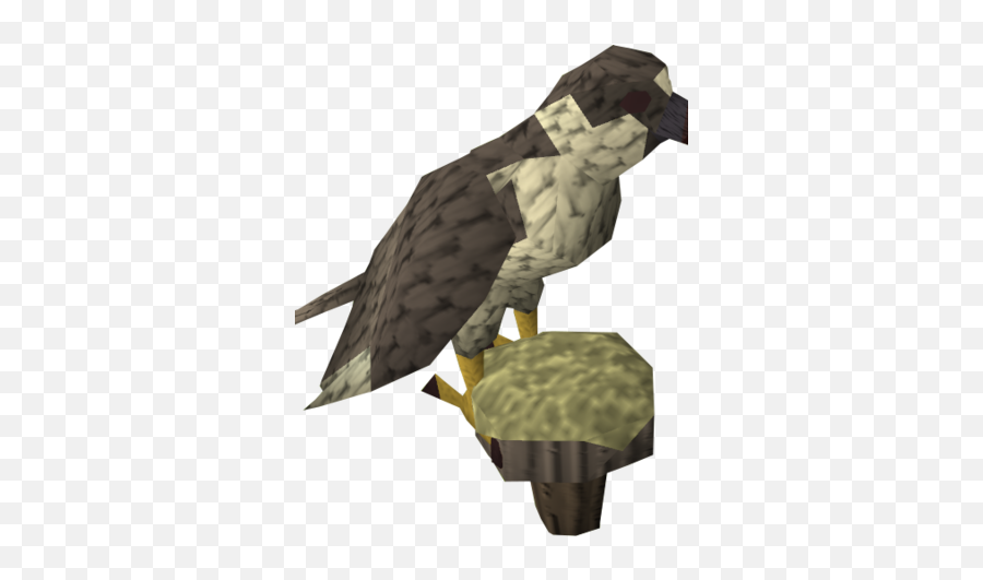 Gyr Falcon Runescape Wiki Fandom - Golden Eagle Png,Falcon Png
