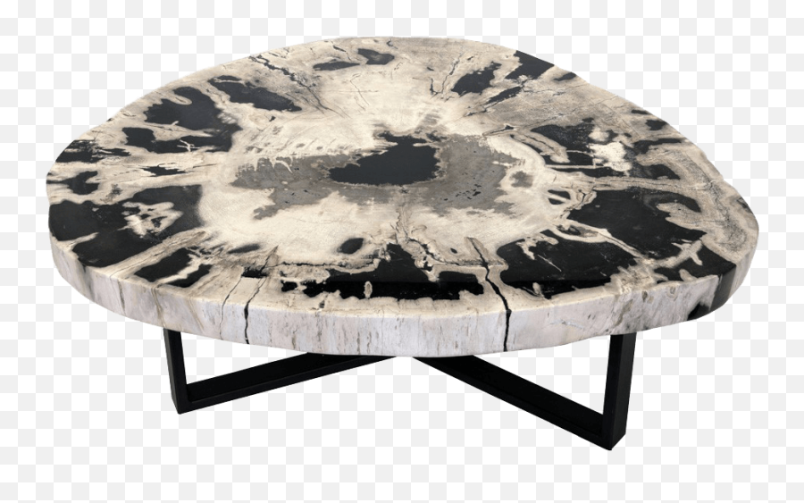 Petrified Wood Coffee Tables Unik Living - Unique Tables Coffee Table Png,End Table Png