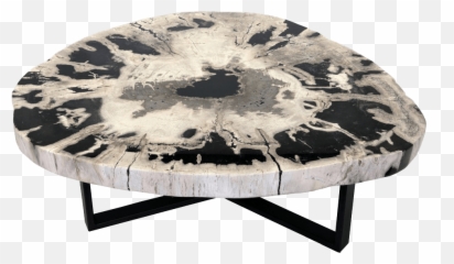 Petrified Wood Coffee Tables Unik Living - Unique Tables Coffee Table Png,End Table Png
