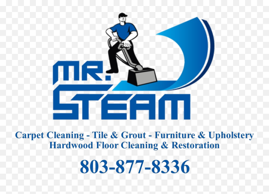 Simple Portfolio U2013 New Website - Carpet Cleaning Png,Steam Logo Transparent