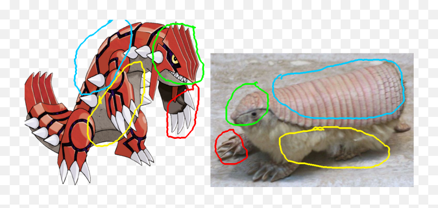 An Armadillo - Pokemon Groudon Size Png,Groudon Png