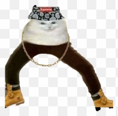 Cat Gangster Chain Timbs Supreme Hat Yes Freetoedit - Memes Mood Stickers Snapchat Png,Transparent Timbs