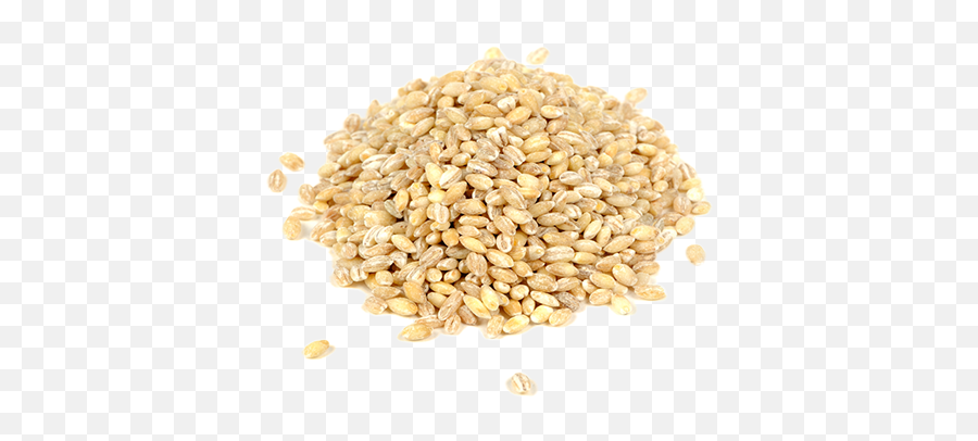 Barley Png Image - Barley Seeds Png,Barley Png
