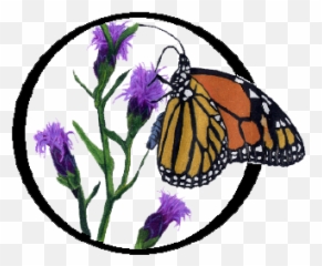 Growwildlogopng - Grow Wild Native Plant Nursery Monarch Butterfly