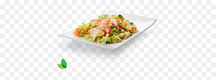 Asian Sesame Ginger Chicken Salad Recipe - Serveware Png,Salad Transparent