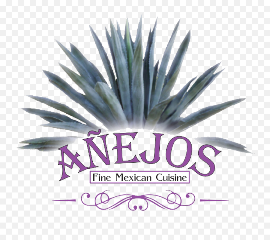 Authentic Mexican Food Margaritas Sartell Mn Anejou0027s - Agave Azul Png,Mexican Png