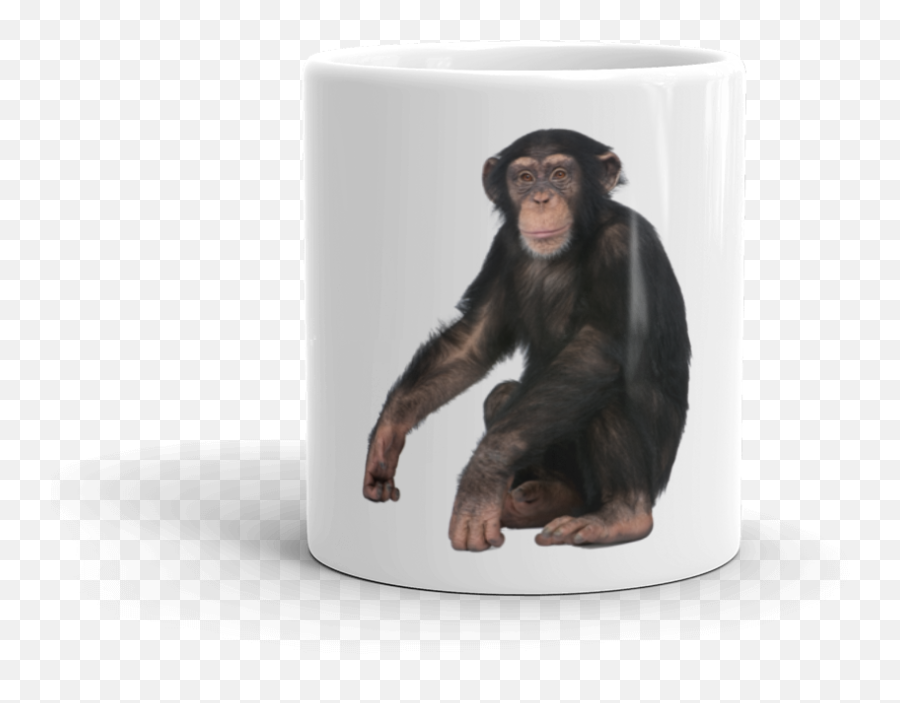 Chimpanzee - Monkey With White Background Hd Png Download Oney Plays  Tomar,Chimpanzee Png - free transparent png images 