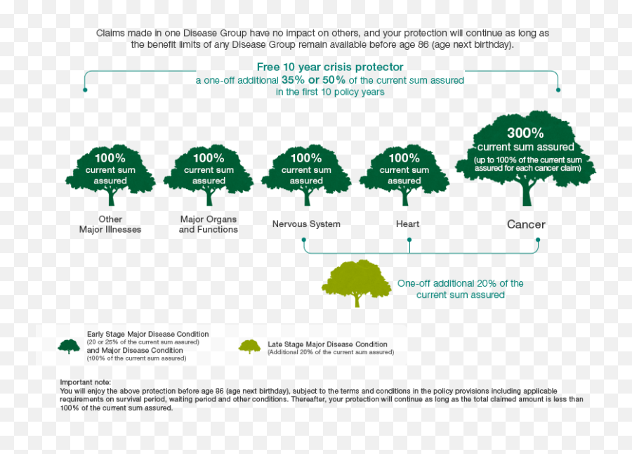 Critical Illness In Focus - Plan Your Comprehensive Critical Diagram Png,Tree From Above Png