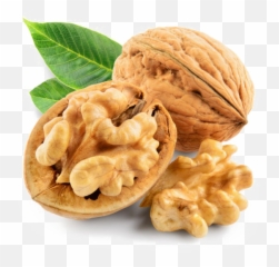 Walnut Transparent Image - Walnut Png,Walnut Transparent