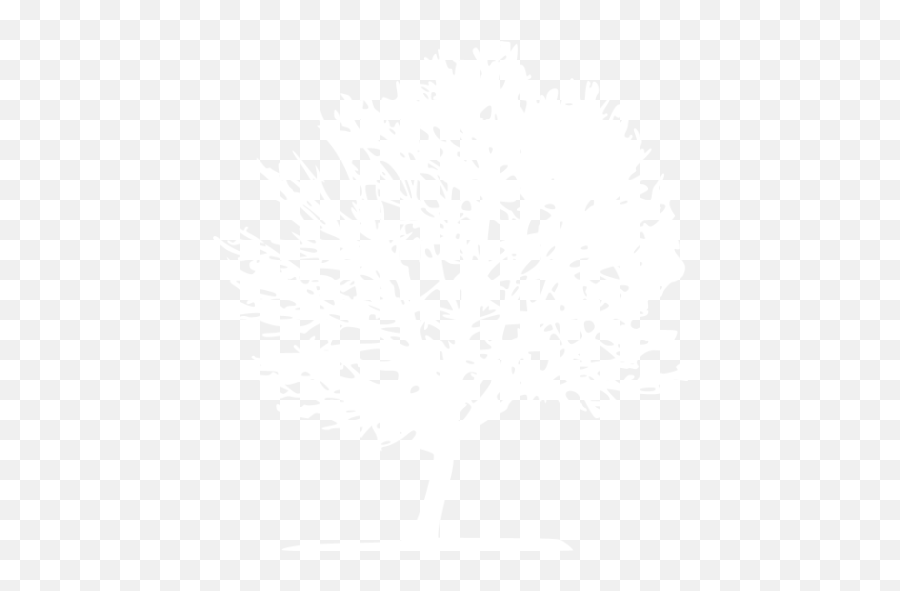 White Tree 11 Icon - Free White Tree Icons Sketch Png,Night Photography Icon Png