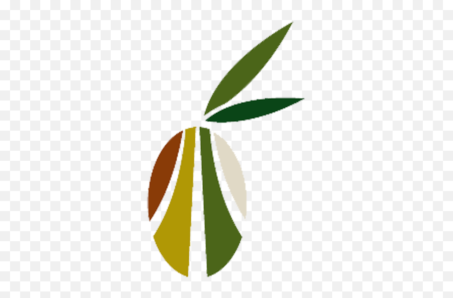 Olive Routes - The Olive Routes Olive Tours U0026 Tasting In Vertical Png,Olive Icon