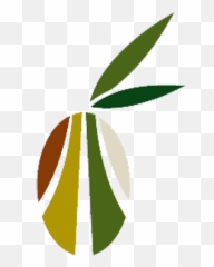 Olive Routes - The Olive Routes Tours u0026 Tasting Vertical png