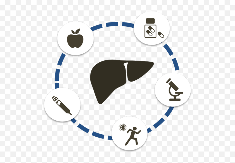 Epidemiology And Pathophysiology Of Nafld - Nash Self Service Data Preparation Png,102.5 Nash Icon