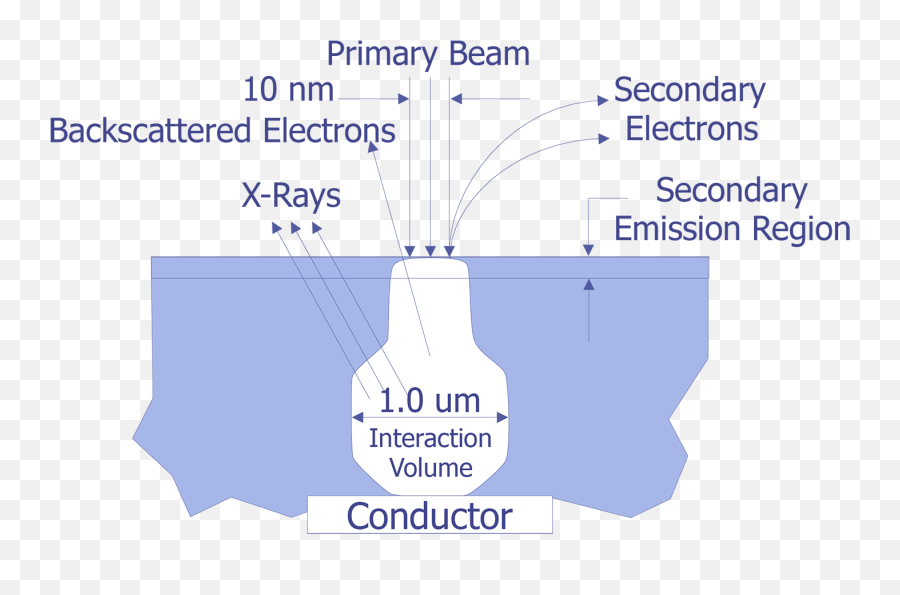 Scanning Electron Microscope Semitracks - Secondary Electron Backscattered Electron Png,Kanaya Icon