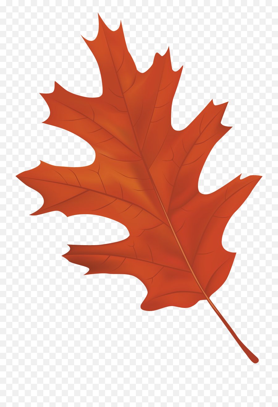 Autumn Leaf Transparent Png Clipart - Autumn Leaf Clipart Png,Fall Leaf Transparent