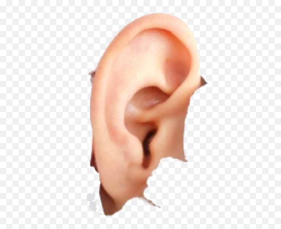 Human Ear Png Image For Free Download - Does Hyperacusis Look Like,Ear Png