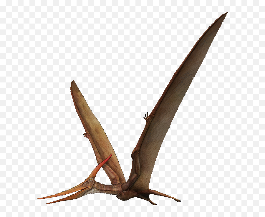 Download Pterosaurs Png Transparent - Pterosaurs Png,Pterodactyl Png