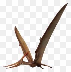 Download Pterosaurs Png Transparent - Pterosaurs Png,Pterodactyl Png