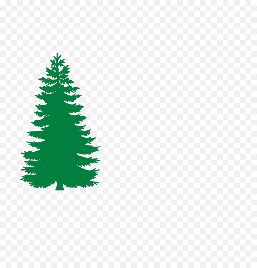 Free Image - Fir Evergreen Trees Silhouette Vector Pine Tree Silhouette Png,Pine Tree Transparent Background
