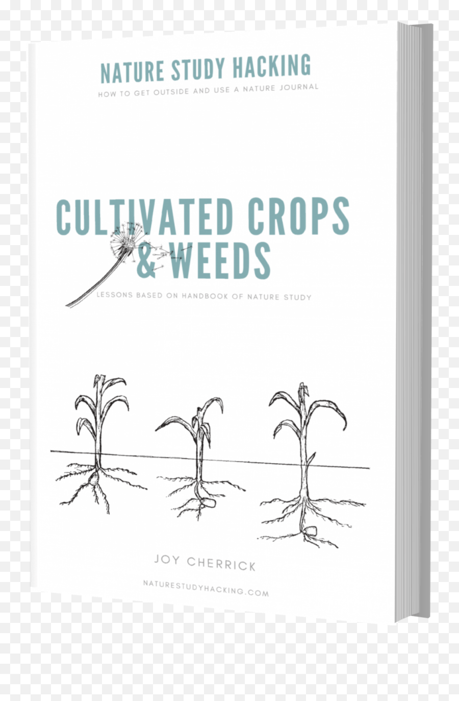 Digital Download Cultivated Crops U0026 Weeds - Nature Study Agi Atlanta Png,Weeds Png