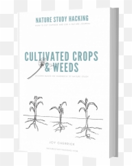 Digital Download Cultivated Crops U0026 Weeds - Nature Study Agi Atlanta Png,Weeds Png