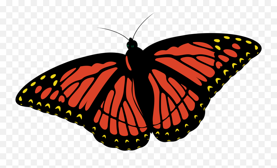 Clipart Monarch Butterfly - Clipartbarn Png Butterfly Coloring,Monarch Butterfly Png