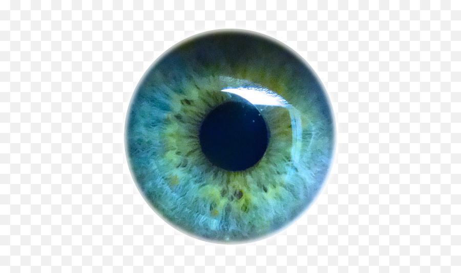 Iris Eyes Eye Light Pupil Human Clipart - Eye Iris Transparent Background Png,Light Eyes Png