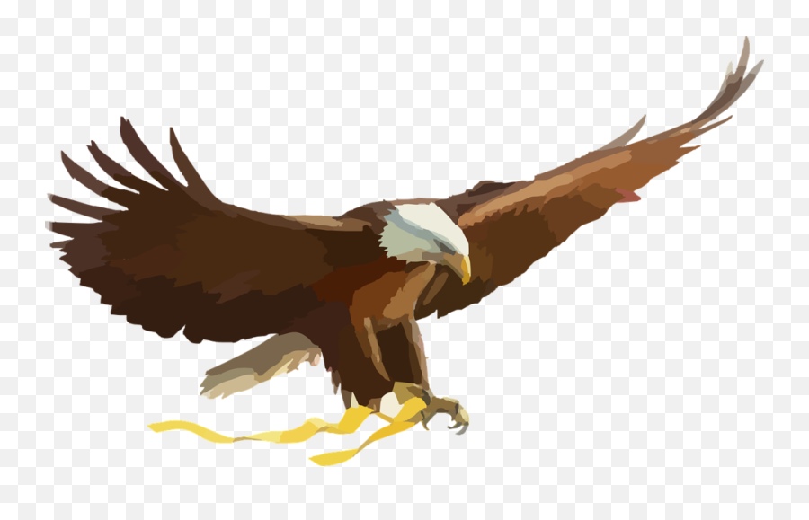 Golden Eagle Clipart Elang - Eagle Cartoon Png,Golden Eagle Png