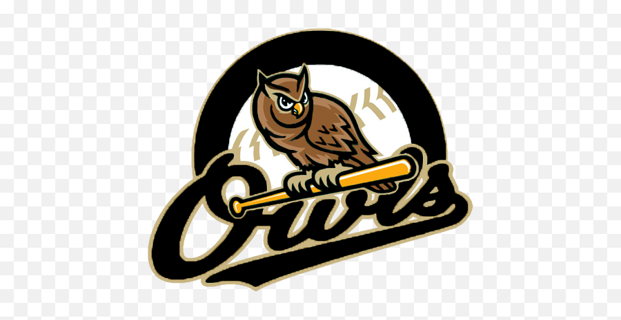 Team Home Windsor C - Forest City Owls Png,Owl Logo