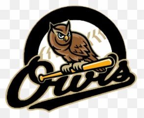 Team Home Windsor C - Forest City Owls Png,Owl Logo
