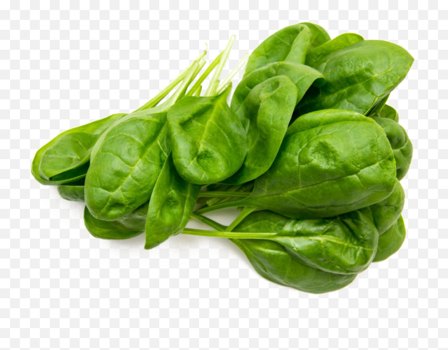 Spinach Png Free Image - 30 Grams Of Spinach,Spinach Png