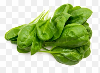 Spinach Png Free Image - 30 Grams Of Spinach,Spinach Png