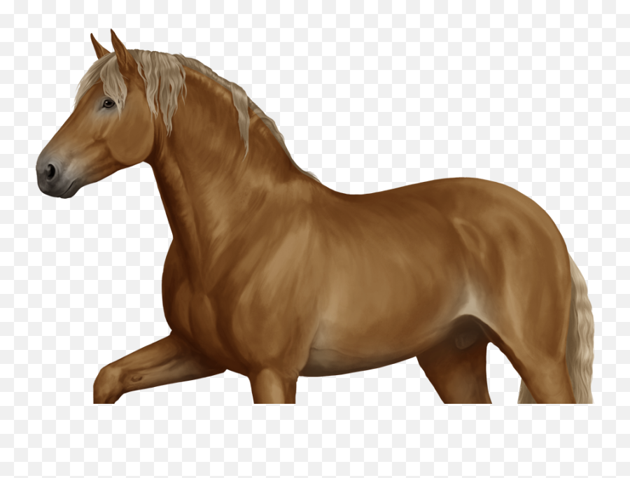 Log In - Horse Reality Png,Horse Transparent