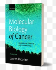 Molecular Biology Of Cancer - Lauren Pecorino Molecular Biology Of Cancer Png,Cancer Png