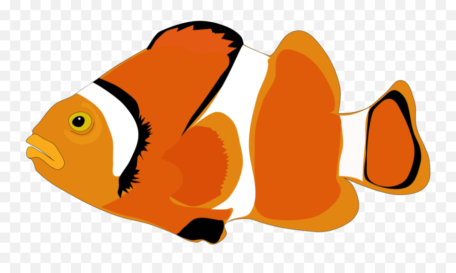 Download Clownfish Cartoon Computer Icons - Cartoon Fish Png Fishes Cartoon Png,Cartoon Computer Png