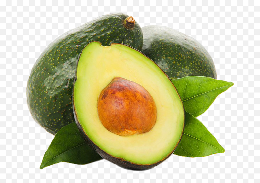 1 - Avocado Fruit Quality Png,Avocado Png