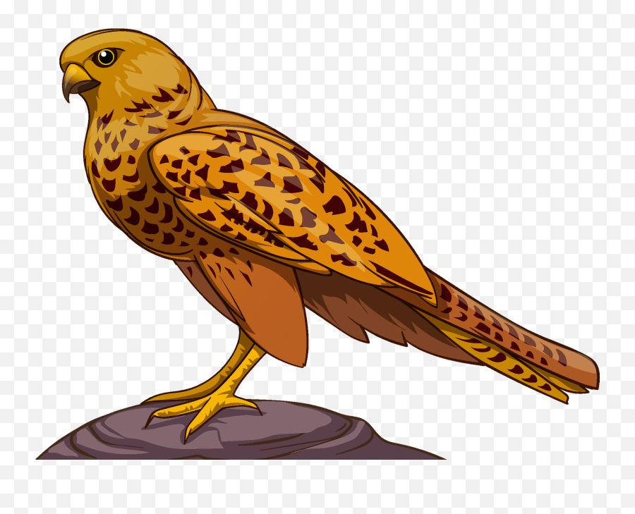 Falcon Clipart Free Download Transparent Png Creazilla - Falcon Clipart,Falcon Transparent
