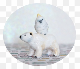 Download Polar Bear And Cockatoo Hd Png - Uokplrs Soft,Ice Bear Png