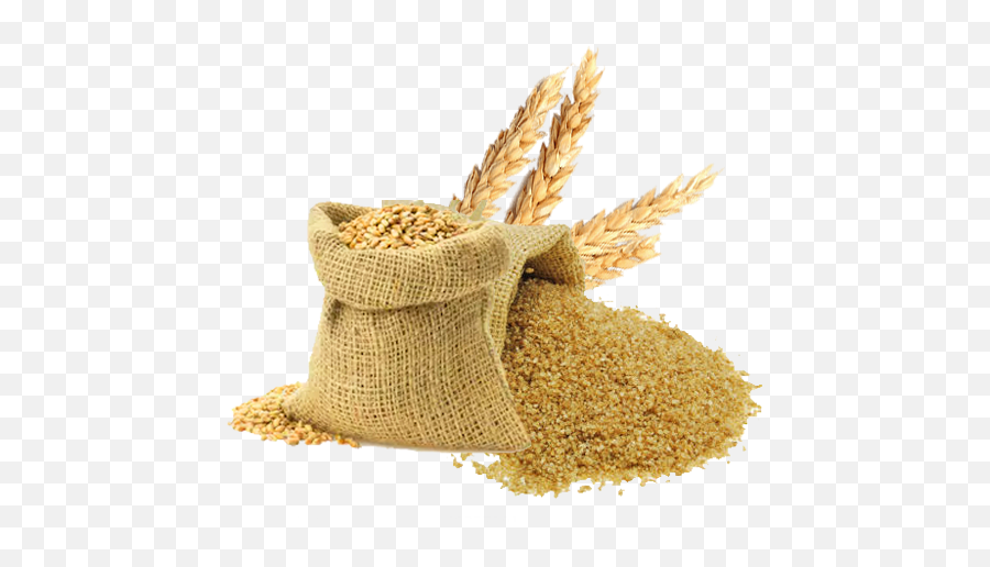 Durum Broken Wheat - Gajraj Broken Wheat Png,Wheat Png