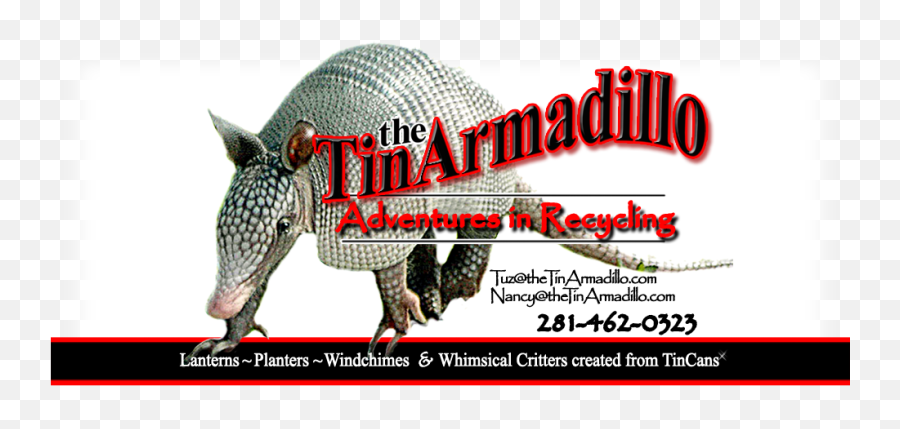 Download Armadillo Png Image With No Background - Pngkeycom Armadillo,Armadillo Png