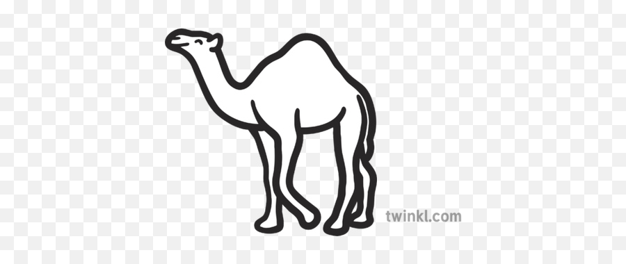 Camel Map Icon Desert Animal Mammal Hump Eyfs Black And - Animal Figure Png,Black Transparent Png