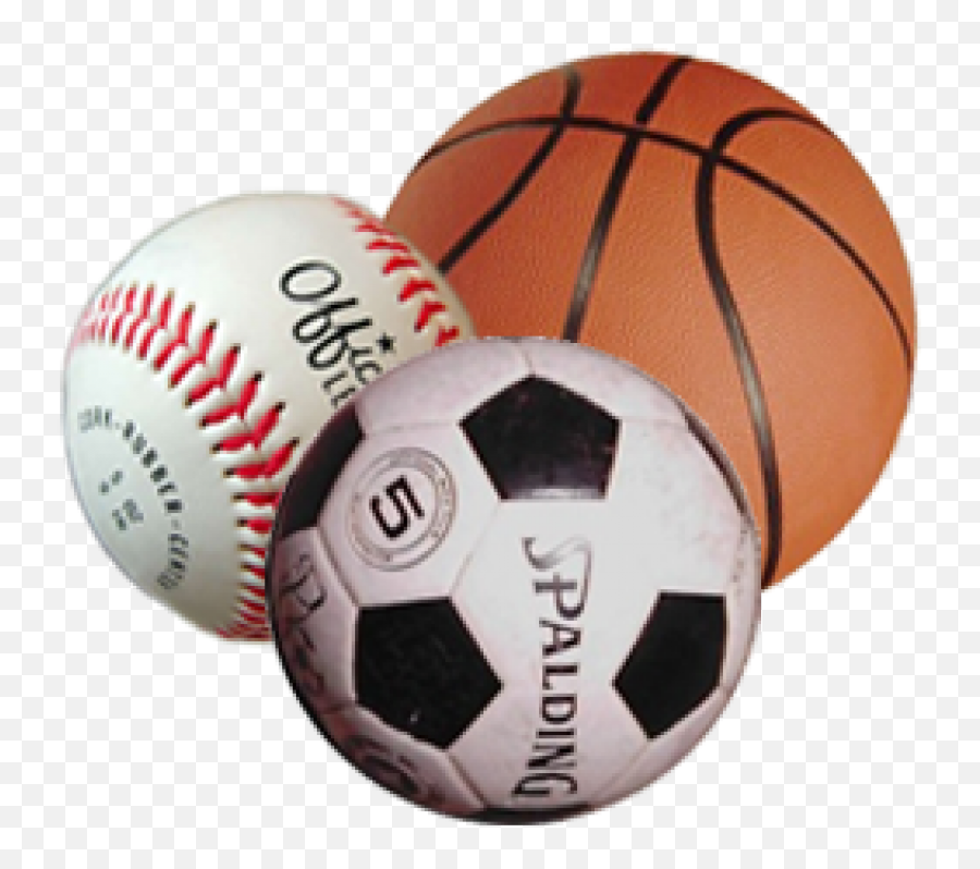 Heron Bay Blog 2016 - Sports Balls Png,Heron Icon