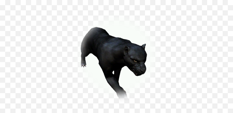 Bdo Black Leopard - Black Panther Bdo Png,Leopard Icon