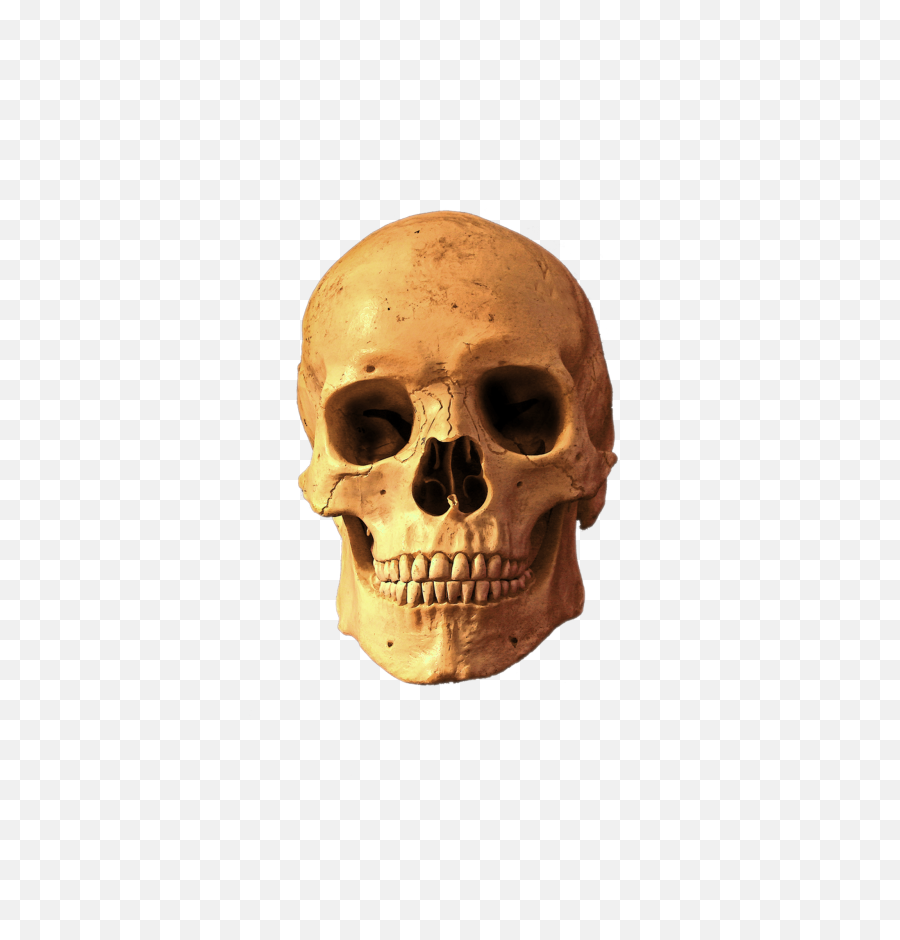 Skull Transparent Background Png Image - Rhythm And Blues,Skull Png Transparent