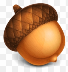 Acorn Allow Arithmetic When Creating Resizing Images - 7 png