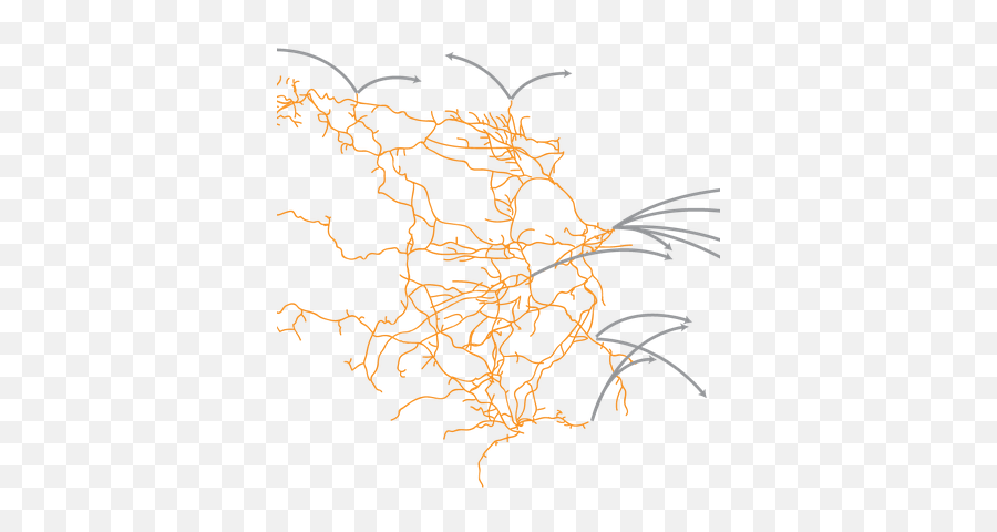 Bnsf Mexico Interactive Network Map - Dot Png,Network Diagram Icon Pack