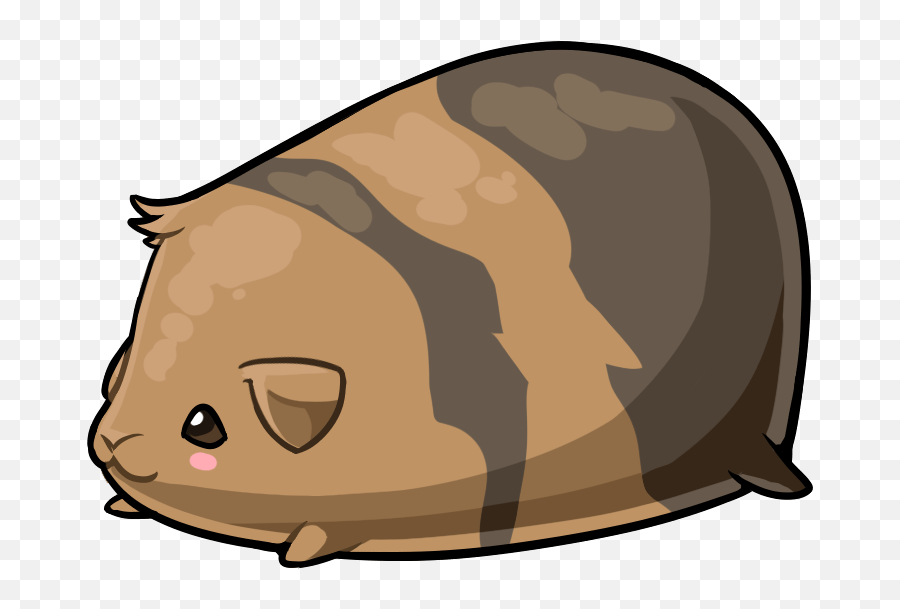 Guinea Pig Foot Spur U2013 Updated 2022 A Complete Guide - Animated Guinea Pig Png,Guinea Pig Icon