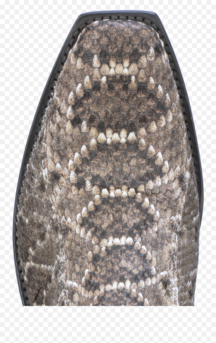 Bear Rattler - Lucchese Sparkly Png,Rattlesnake Icon