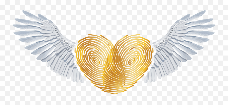 Submit Your Own U2014 Heart 2 - Video Png,Angel Wings Icon