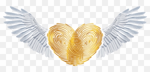 Submit Your Own U2014 Heart - Video png